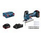 Ferastrau vertical Bosch GST 18V-LIS